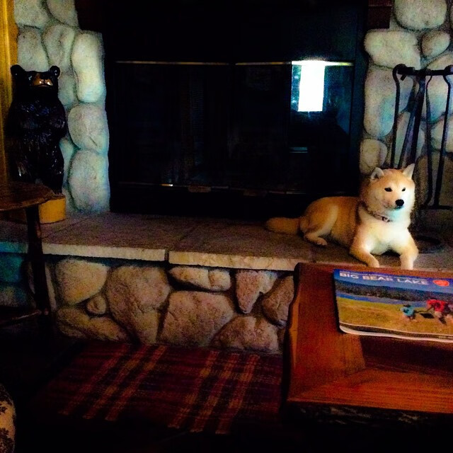 CBA球队加强青训基地建设，cba球队青训几级梯队