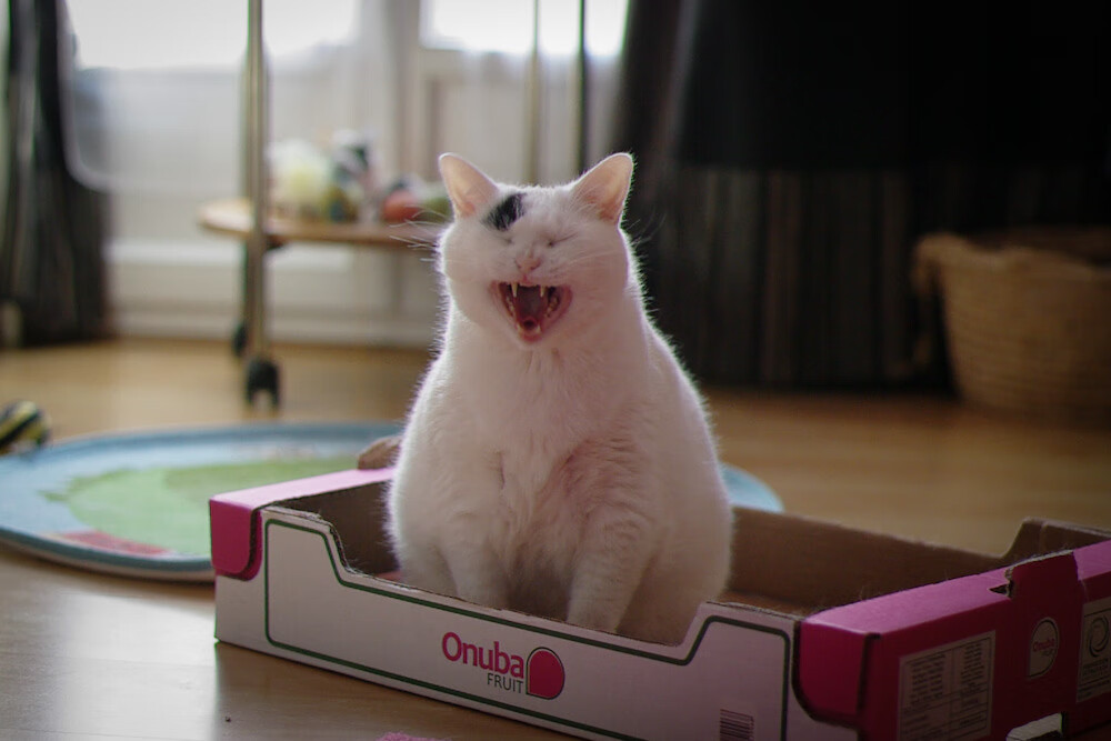 王者荣耀世界冠军杯奖金池再创新高，王者荣耀世界冠军杯 奖金