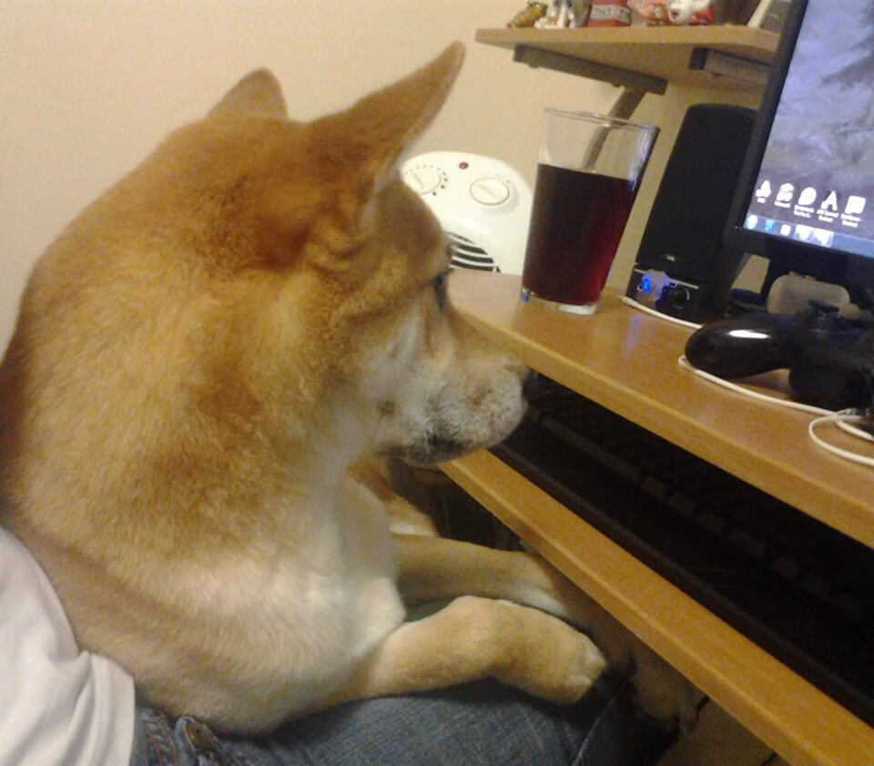 “福乐球赛场，激情四射，新都香城迎高潮”