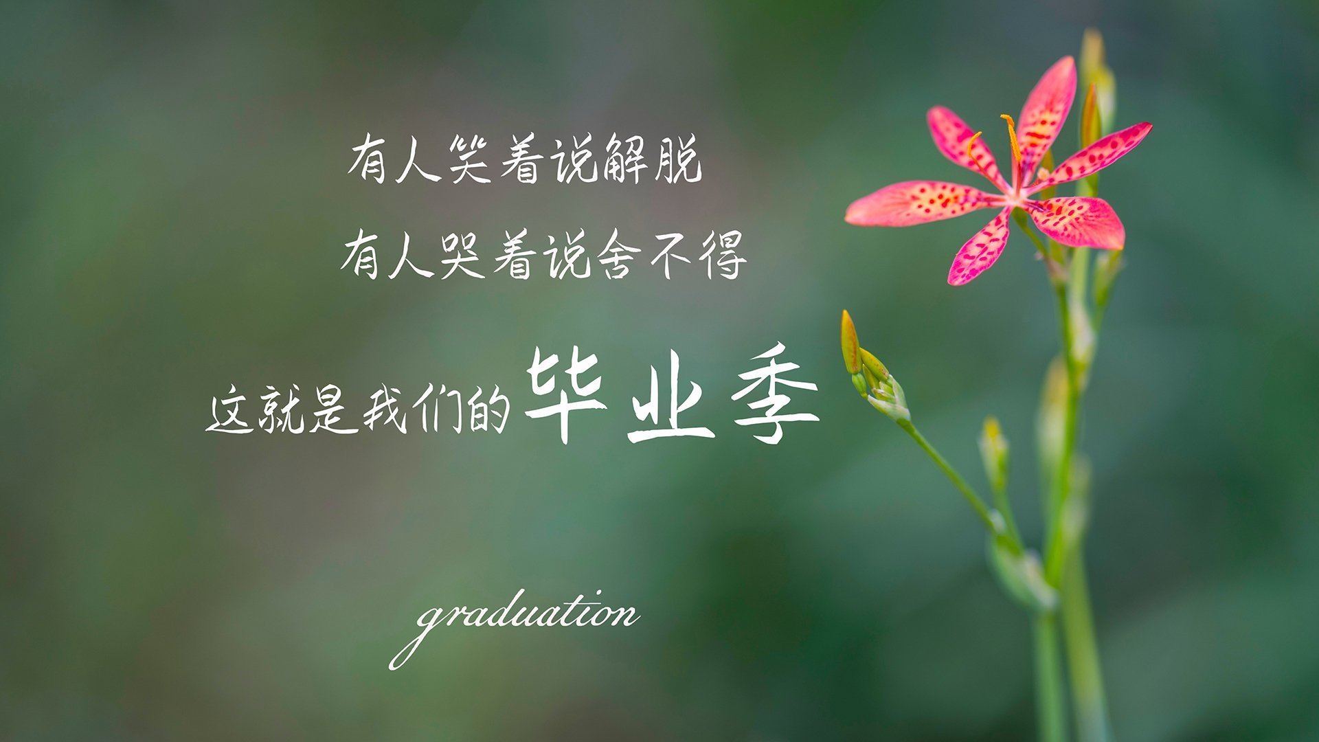 乐鱼体育官网优惠-加拿大队赛制剖析：在团体赛制下如何应对多变的比赛环境，加拿大队伍