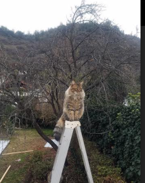 篮球场上拼搏精神成就球队真正底蕴,篮球拼搏精神文字